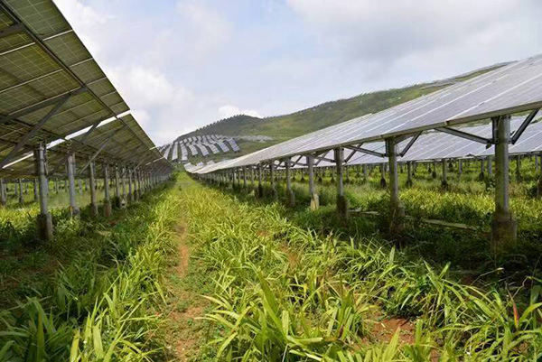 太阳能光伏产业光伏支架事业部：在高效完成...